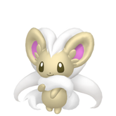 6IV Shiny Cinccino Indigo Disk Pokemon Scarlet and Violet
